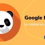 Google Panda de calidad